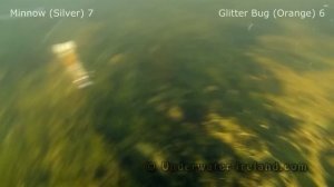 Cannibal Shad Minnow vs Glitter Bug. Fishing Pike attacks lure for muskie zander walley bass catfis