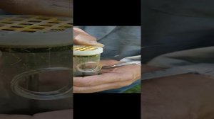 1000012452.mp4