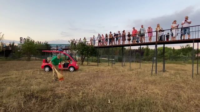 У львицы Стервы меняется характер , она отказывается ДАЖЕ РЫЧАТЬ ! смотреть онлайн