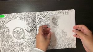 HOW I COLOUR – TRACING | Adding/drawing elements on your adult colouring pages, when you can't draw