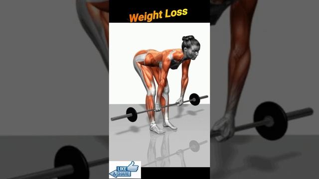 weight loss workout 7 days _ Everything Exercise _ A Simple Exercise Will Reboot Your Brain