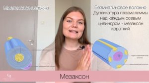 Сравнение миелиновых и безмиелиновых нервных волокон | Гистология