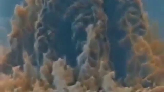 Испытание первой водородной бомбы в СССР в 1953. смотреть онлайн