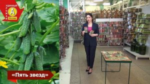 Ультраранний Огурец "5 звезд"