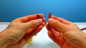 Сделал короля Льва. Поделка в школу  своими руками.