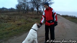 ДРЕССИРОВКА ВОЛКОДАВА