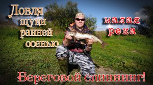 ЛОВЛЯ ЩУКИ ранней ОСЕНЬЮ на МАЛОЙ РЕКЕ. Береговой спиннинг.