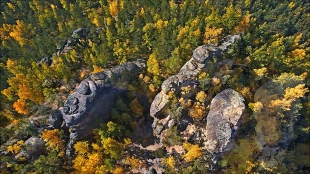 А ВСЕ ТАКИ ЖАЛЬ смотреть онлайн