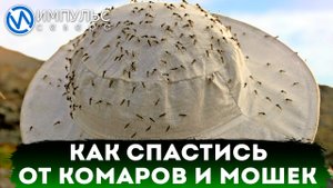 Как бороться с гнусом и чем защищать себя в летний период