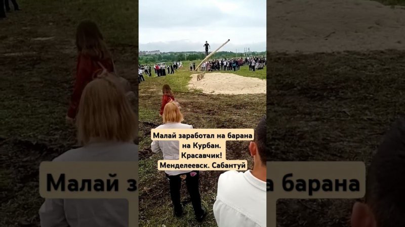 Где взять барана на Курбан-байрам? На Сабантуе!