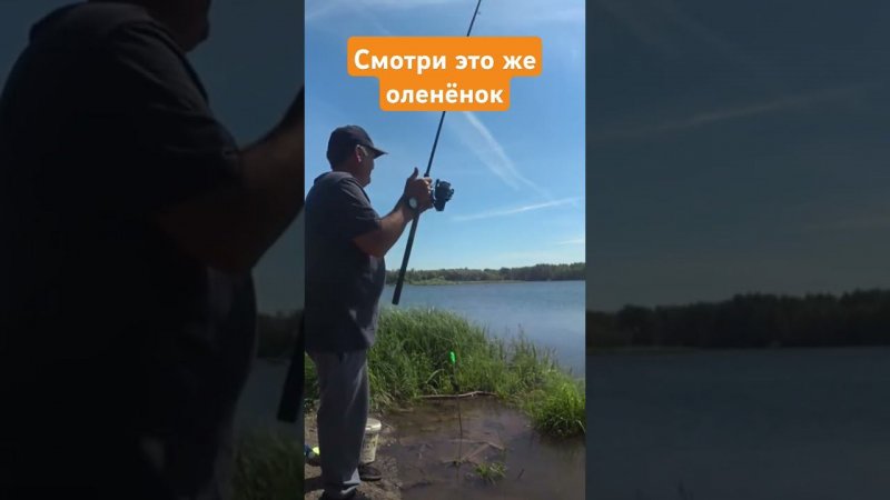 Смотри это же оленёнок...