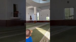 Кошки в мечети, на намазе, во время азана и с Кораном