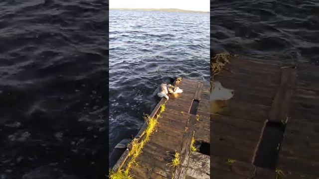 жара на севере,Апатиты смотреть онлайн