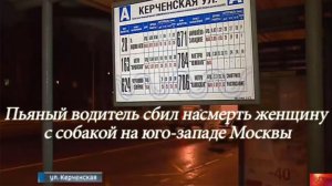 В Москве пьяный водитель без прав насмерть сбил женщину с собакой