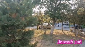 Дорога в СНТ "Восход"