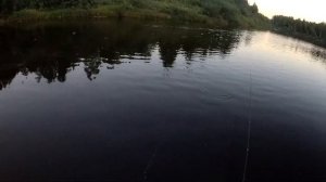 РЫБАЛКА В КАЙФ ! БЕШЕНЫЙ КЛЁВ ЯЗЯ!