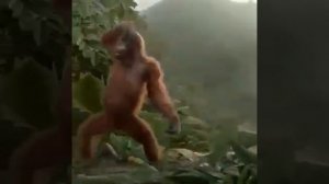 мы будем делать джага джага