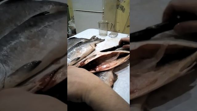 горбуша с икрой. смотреть онлайн