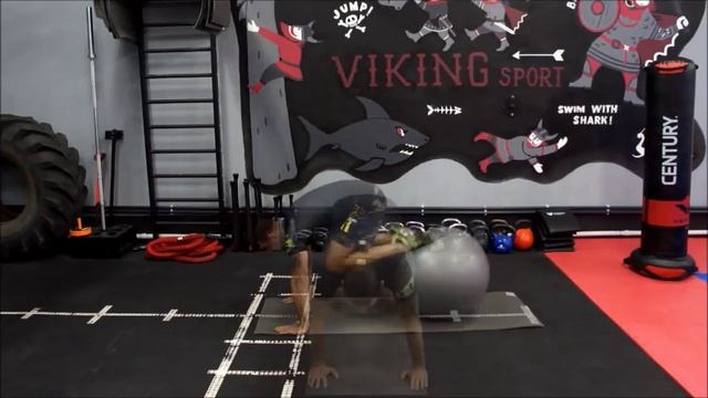 Поднос ног к груди стоя на мяче в упоре лежа - REVERSE CRUNCH смотреть онлайн