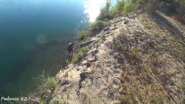 РЫБАЛКА НА РЕКЕ ИЛИ, ПОЧТИ В ЛЕСУ САЗАН, СУДАК, КАРАСЬ! смотреть онлайн