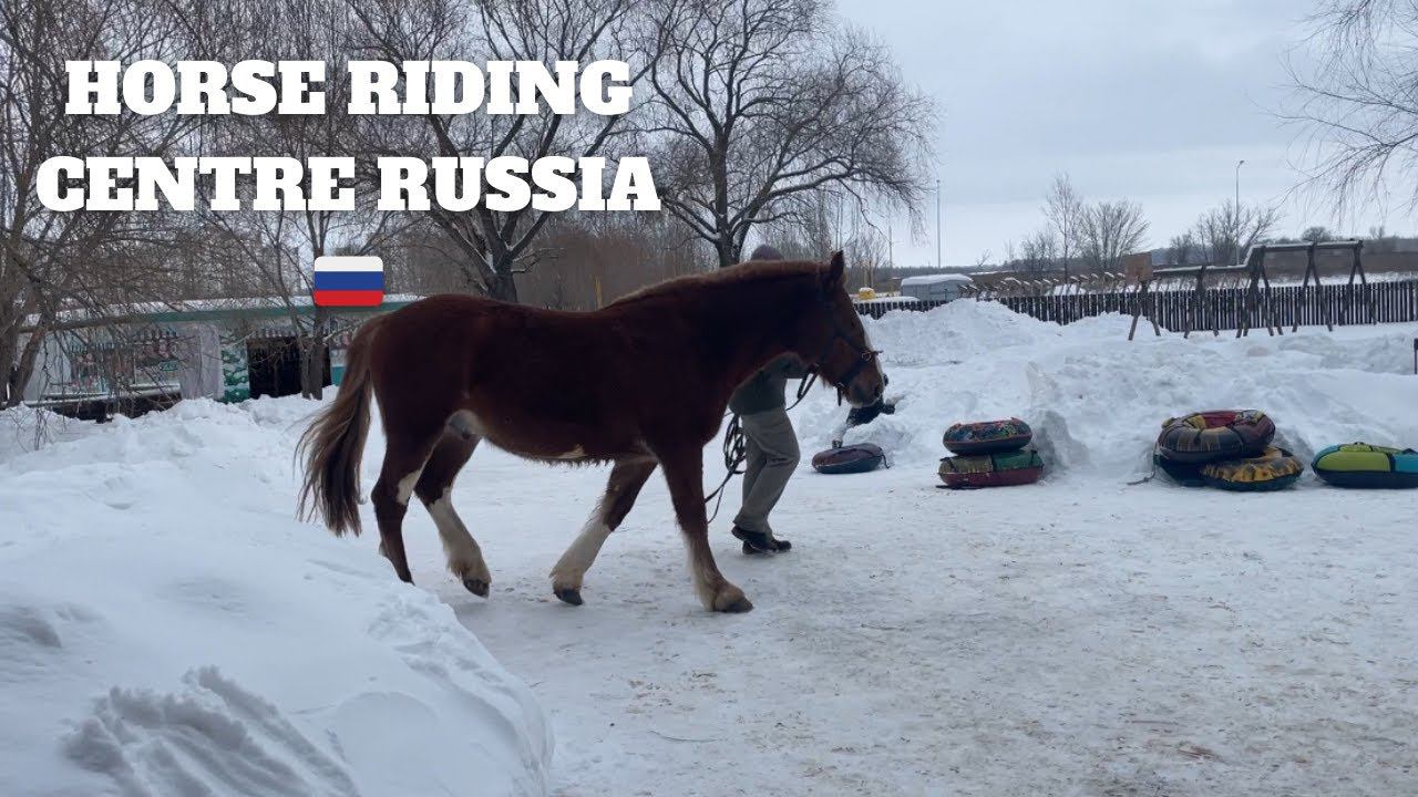 Russian Adventures: Kids' Birthday Party at the Horse Riding Center in Orenburg