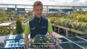 Create Colourful Hanging Baskets