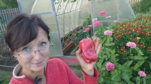 Видео привет с 6 соток 8 августа 2024 года