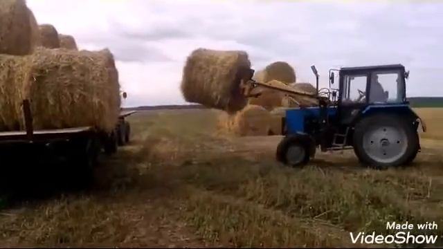 ОАО Утевское, скирдовка соломы на поле в скирды. смотреть онлайн