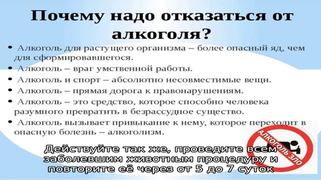 Все про лечение и симптомы ушного клеща у кроликов смотреть онлайн