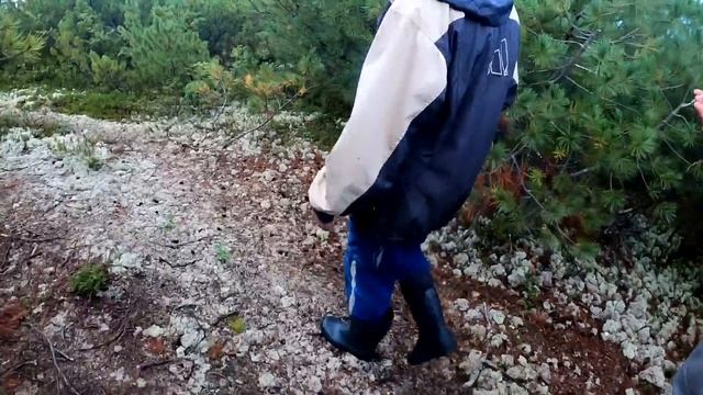 Браконьеры кинули браконьеров/Памятник природы