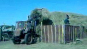 Т 16 с куном.