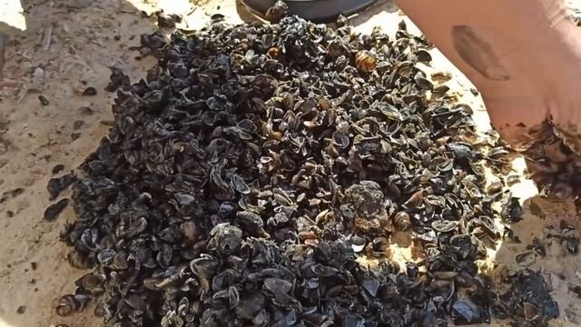 ЗОЛОТО!!! Находки от которых сердце чуть не остановилось! ПЛЯЖНЫЙ ПОДВОДНЫЙ ПОИСК с МЕТАЛЛОИСКАТЕЛЕ