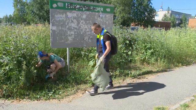 Трудовые отряды начали работу.