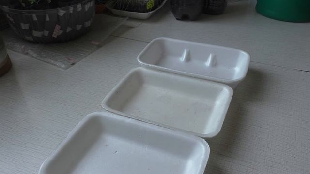 РУБРИКА - ПОЛЕЗНЫЕ СОВЕТЫ -Совет 2 (Повторный посев томатов для подстраховки). 08.04.2015г. смотреть онлайн