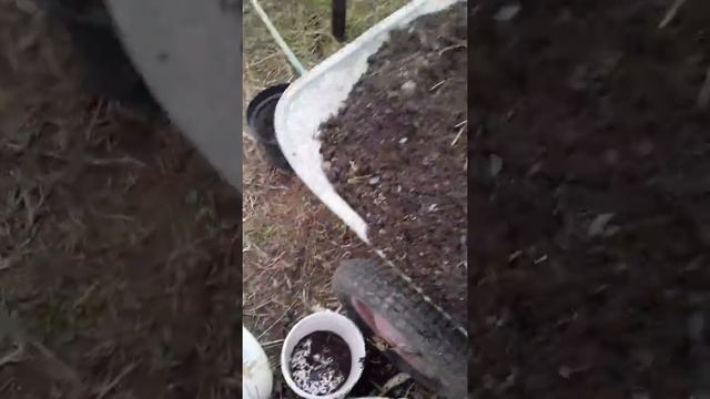 Бесплатные стаканы для рассады смотреть онлайн