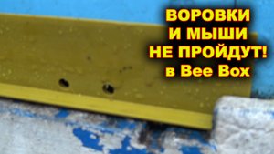 Простой способ защитить Bee Box от воровок и мышей.