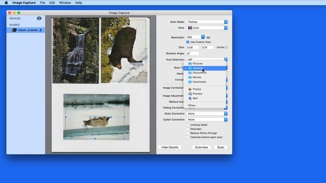 How to Scan on a Mac using the Image Capture App!
