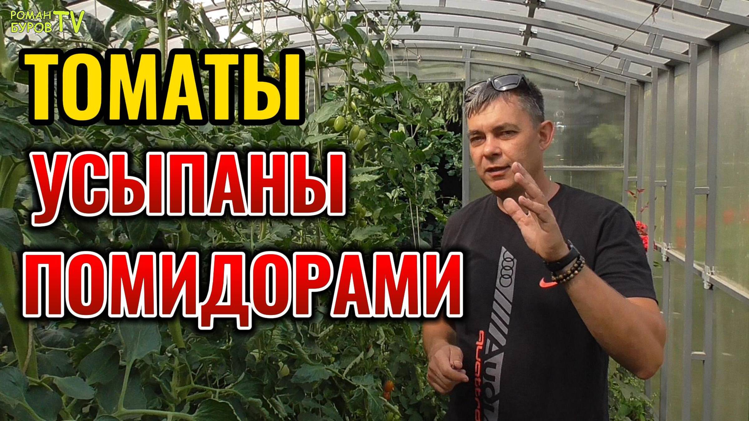 🚫🍅 Забудьте о Болезнях Томатов: Мощная Защита и Подкормка для Богатого Урожая без Нитратов!