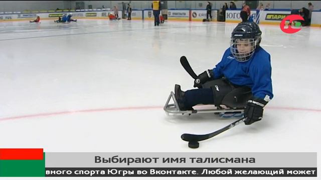 Для детской следж-хоккейной команды Югры выбирают имя талисмана