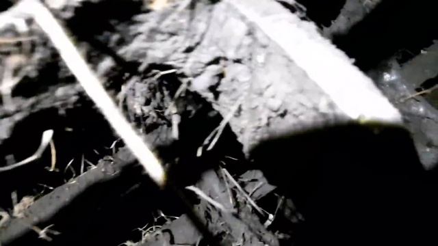 Диски АГ 2.4 - знову розсипались (матюки запікав) смотреть онлайн