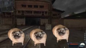 мопсы 10 часов танцуют под музыку бандитов