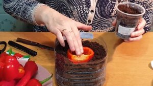 ПОСАДКА ПЕРЦА НА РАССАДУ. Новые способы!  Семена Аэлита и Семена Седек.