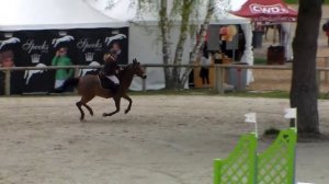 Narcisse de Fremin Poney elite D BIP 2015