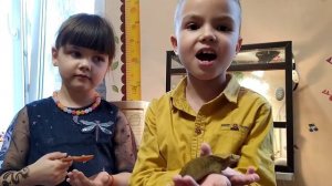 Реснитчатый бананоед