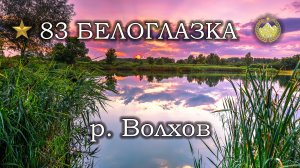 ✮ р. Волхов ✮ Белоглазка ✮ Русская рыбалка 4 ✮