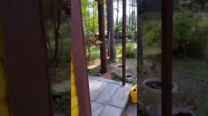 Красим окна на даче