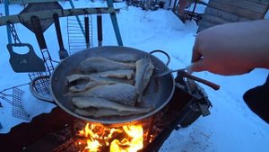 Навага жареная на костре.