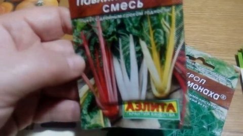 Семена на 2022 год от Аэлиты, Семян Алтая и других производителей