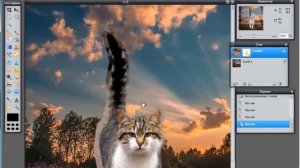 Вырезаем кота в Фотошоп-онлайн