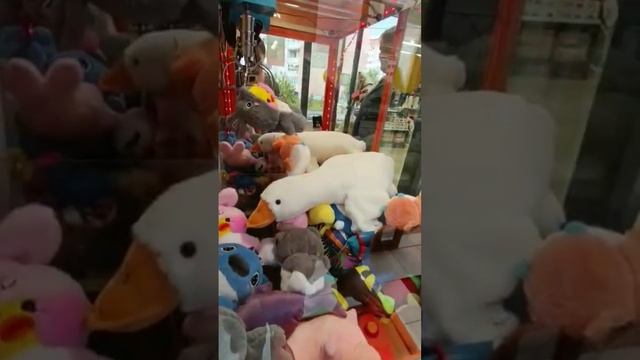 красивая уточка лалафанфан из аппарата хватайка #аппараты #игрушки #аппаратхватайка #выиграл #ура